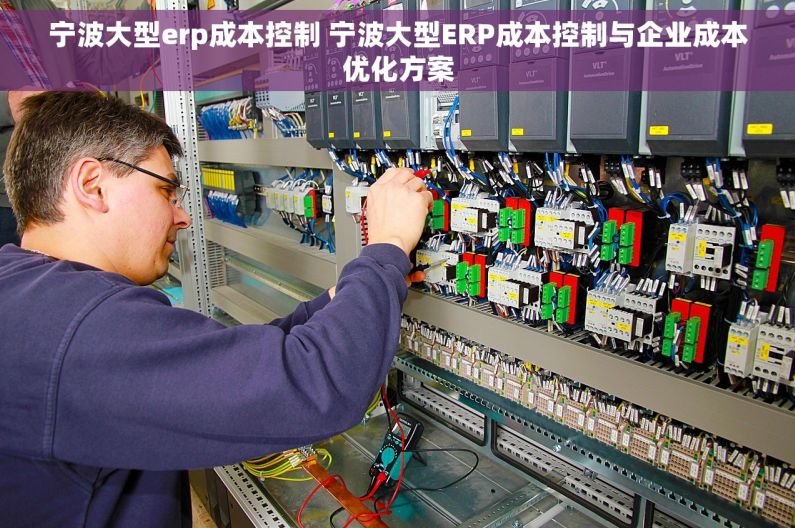 宁波大型erp成本控制 宁波大型ERP成本控制与企业成本优化方案