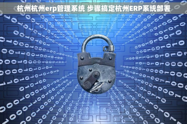 杭州杭州erp管理系统 步骤搞定杭州ERP系统部署