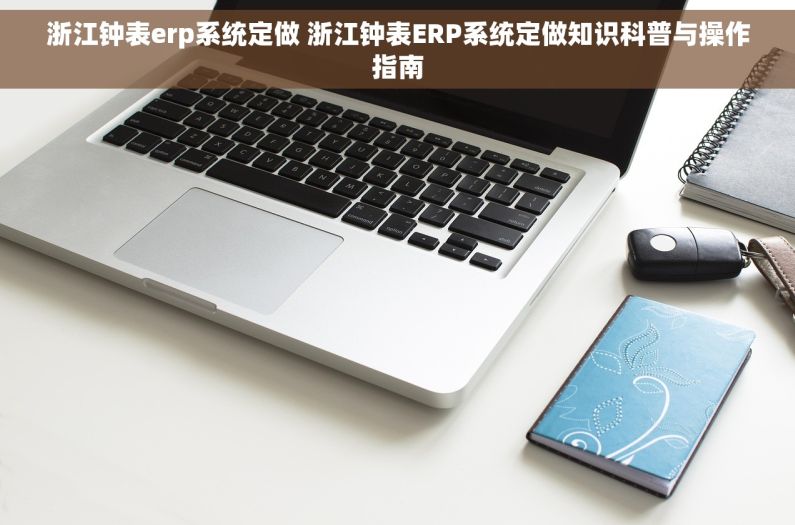 浙江钟表erp系统定做 浙江钟表ERP系统定做知识科普与操作指南