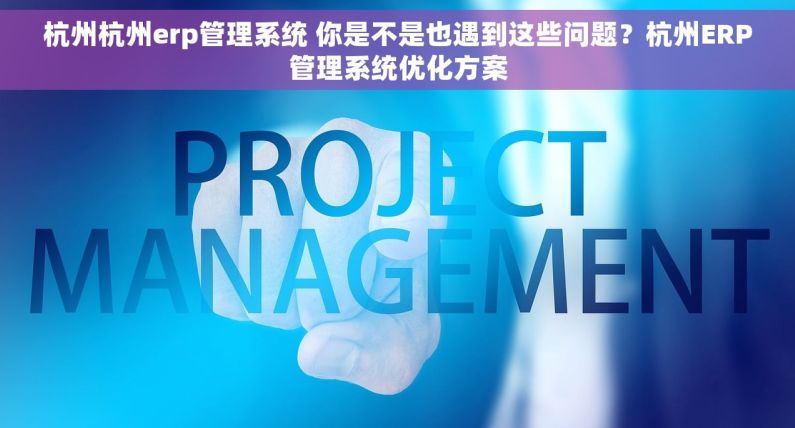 杭州杭州erp管理系统 你是不是也遇到这些问题？杭州ERP管理系统优化方案