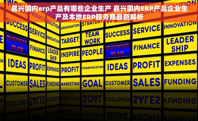 嘉兴国内erp产品有哪些企业生产 嘉兴国内ERP产品企业生产及本地ERP服务商最新解析