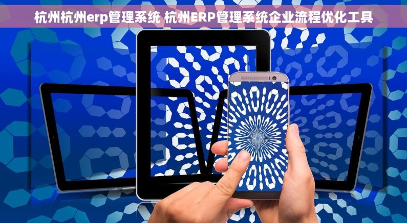 杭州杭州erp管理系统 杭州ERP管理系统企业流程优化工具