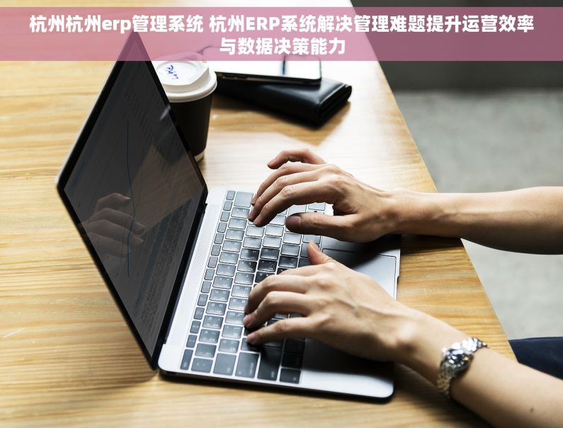 杭州杭州erp管理系统 杭州ERP系统解决管理难题提升运营效率与数据决策能力