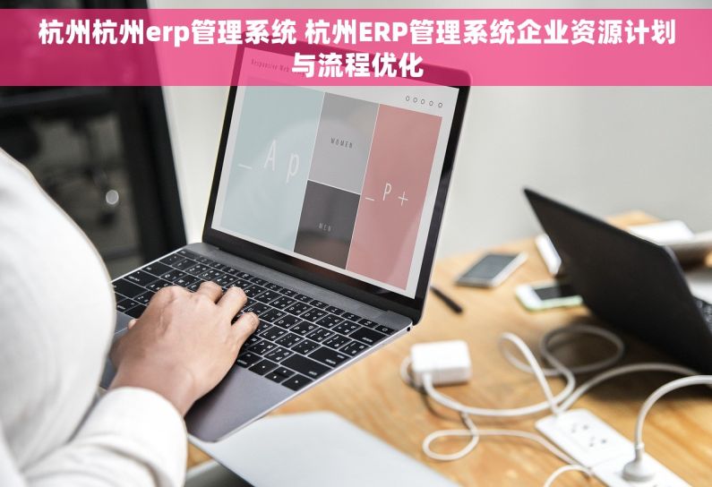 杭州杭州erp管理系统 杭州ERP管理系统企业资源计划与流程优化
