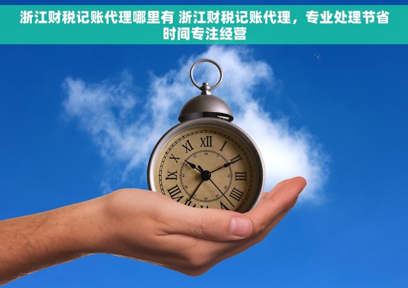 浙江财税记账代理哪里有 浙江财税记账代理，专业处理节省时间专注经营