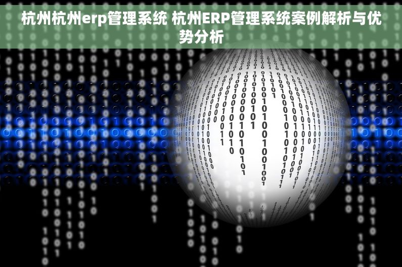 杭州杭州erp管理系统 杭州ERP管理系统案例解析与优势分析