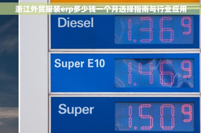 浙江外贸服装erp多少钱一个月选择指南与行业应用
