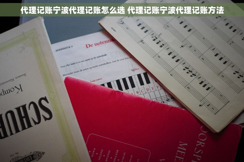 代理记账宁波代理记账怎么选 代理记账宁波代理记账方法