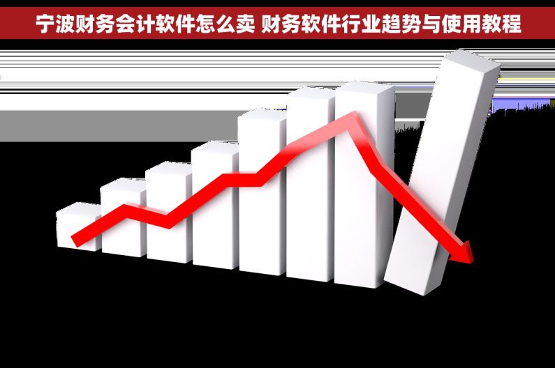宁波财务会计软件怎么卖 财务软件行业趋势与使用教程