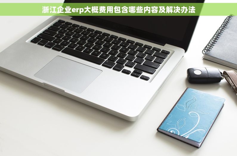 浙江企业erp大概费用包含哪些内容及解决办法