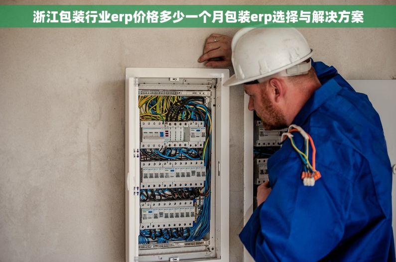 浙江包装行业erp价格多少一个月包装erp选择与解决方案