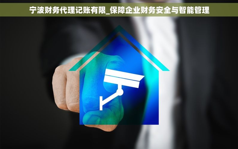 宁波财务代理记账有限_保障企业财务安全与智能管理