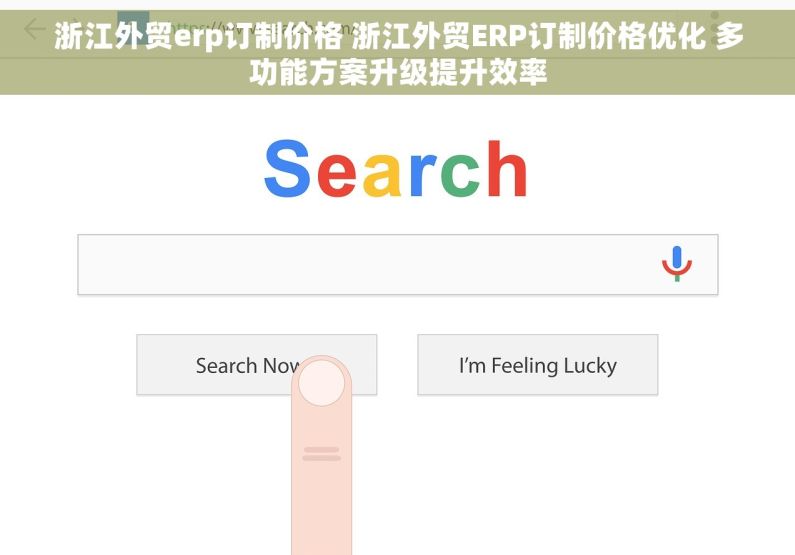 浙江外贸erp订制价格 浙江外贸ERP订制价格优化 多功能方案升级提升效率