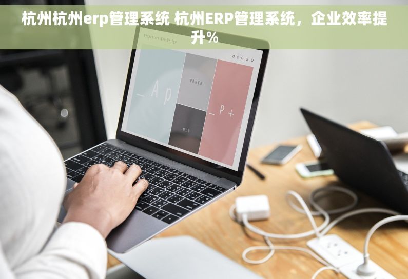 杭州杭州erp管理系统 杭州ERP管理系统，企业效率提升%