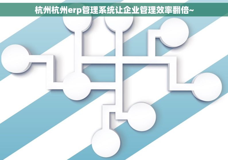 杭州杭州erp管理系统让企业管理效率翻倍~