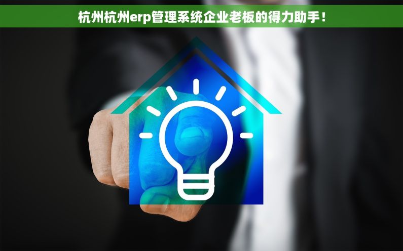 杭州杭州erp管理系统企业老板的得力助手！
