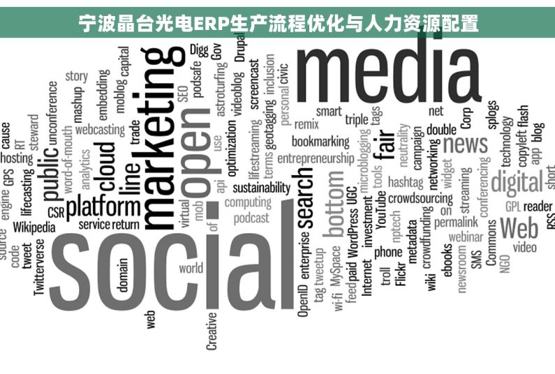 宁波晶台光电ERP生产流程优化与人力资源配置