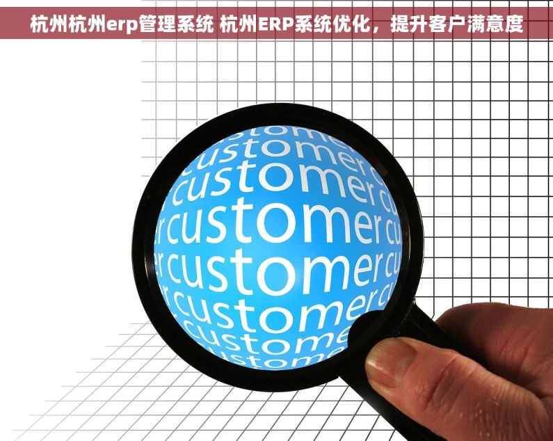 杭州杭州erp管理系统 杭州ERP系统优化，提升客户满意度