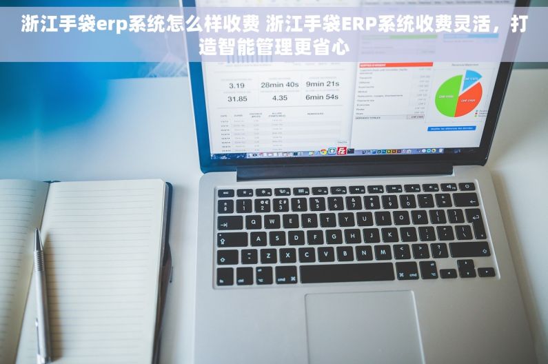 浙江手袋erp系统怎么样收费 浙江手袋ERP系统收费灵活，打造智能管理更省心