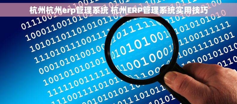 杭州杭州erp管理系统 杭州ERP管理系统实用技巧