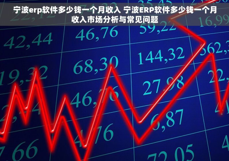 宁波erp软件多少钱一个月收入 宁波ERP软件多少钱一个月收入市场分析与常见问题