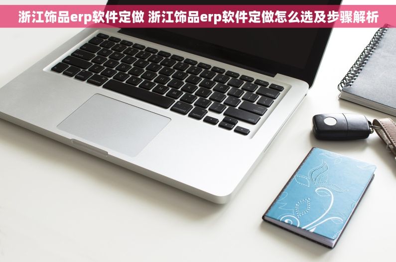 浙江饰品erp软件定做 浙江饰品erp软件定做怎么选及步骤解析