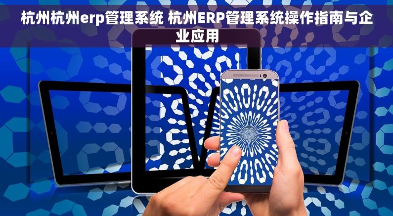 杭州杭州erp管理系统 杭州ERP管理系统操作指南与企业应用