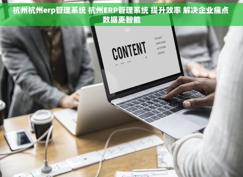 杭州杭州erp管理系统 杭州ERP管理系统 提升效率 解决企业痛点 数据更智能