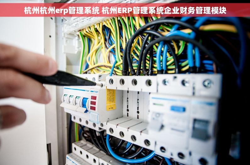 杭州杭州erp管理系统 杭州ERP管理系统企业财务管理模块