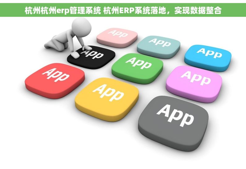 杭州杭州erp管理系统 杭州ERP系统落地，实现数据整合