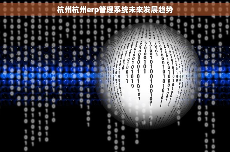 杭州杭州erp管理系统未来发展趋势