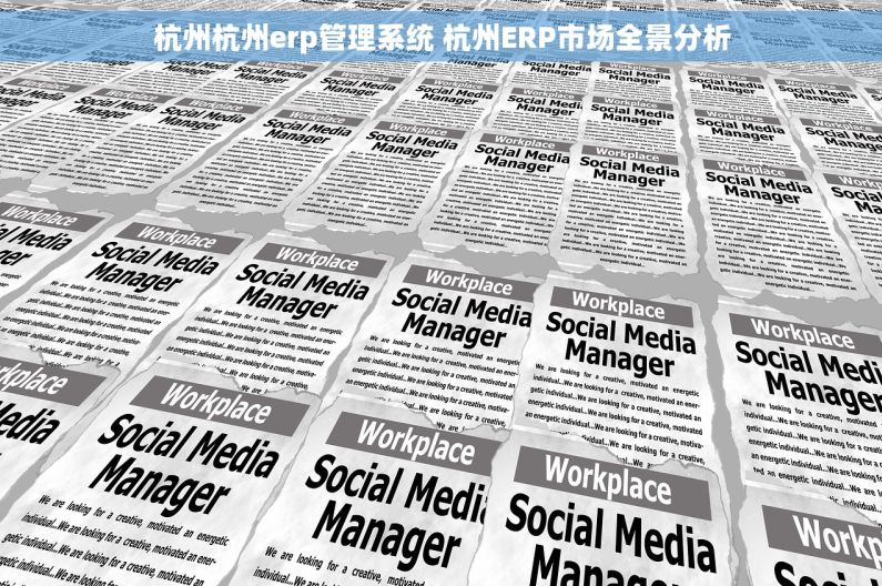 杭州杭州erp管理系统 杭州ERP市场全景分析