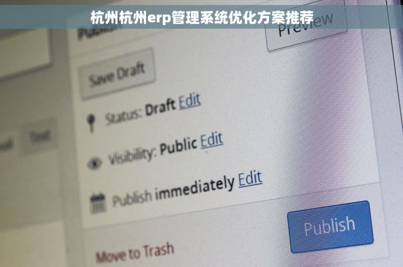 杭州杭州erp管理系统优化方案推荐