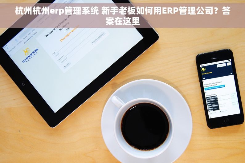 杭州杭州erp管理系统 新手老板如何用ERP管理公司？答案在这里