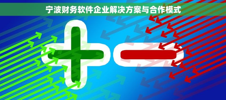 宁波财务软件企业解决方案与合作模式