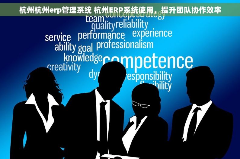 杭州杭州erp管理系统 杭州ERP系统使用，提升团队协作效率