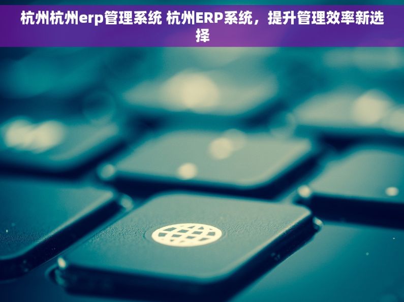杭州杭州erp管理系统 杭州ERP系统，提升管理效率新选择