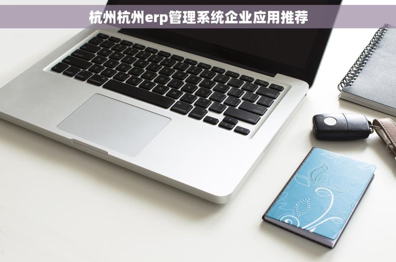 杭州杭州erp管理系统企业应用推荐