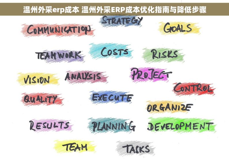 温州外采erp成本 温州外采ERP成本优化指南与降低步骤