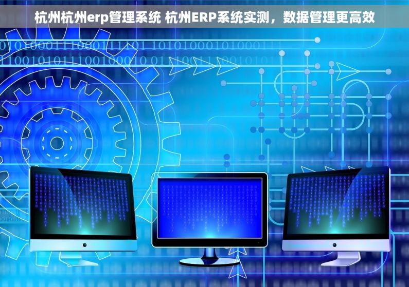 杭州杭州erp管理系统 杭州ERP系统实测，数据管理更高效