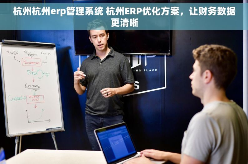 杭州杭州erp管理系统 杭州ERP优化方案，让财务数据更清晰