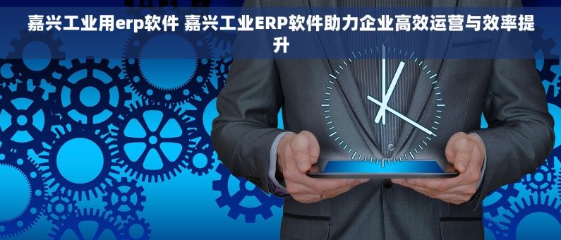 嘉兴工业用erp软件 嘉兴工业ERP软件助力企业高效运营与效率提升