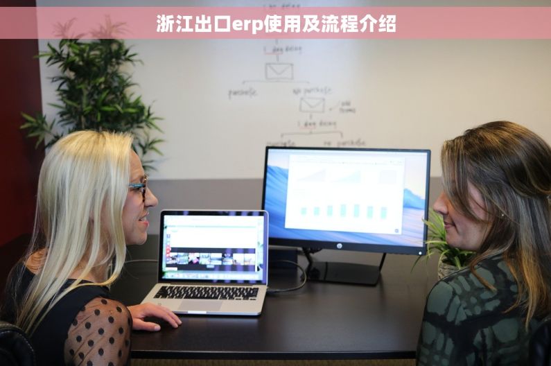 浙江出口erp使用及流程介绍