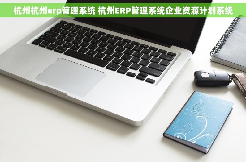 杭州杭州erp管理系统 杭州ERP管理系统企业资源计划系统