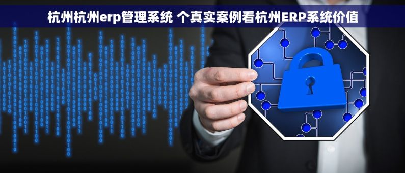 杭州杭州erp管理系统 个真实案例看杭州ERP系统价值