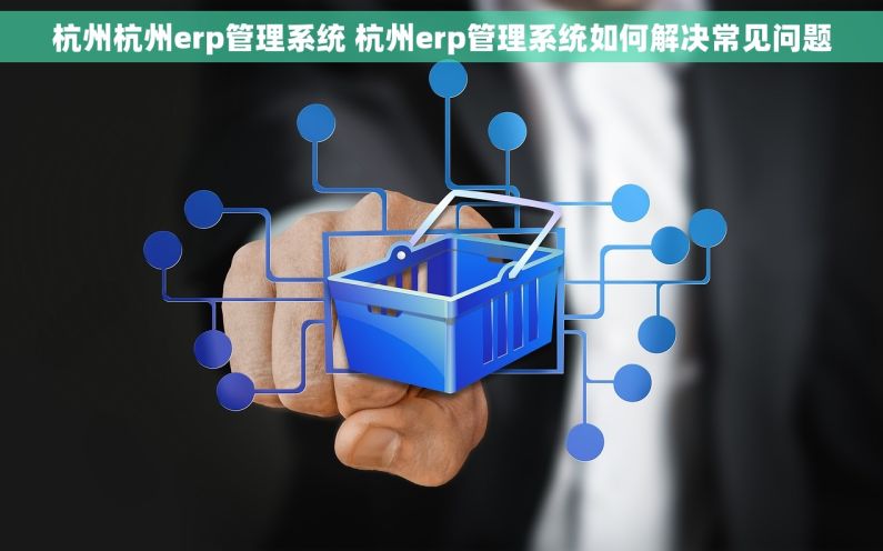 杭州杭州erp管理系统 杭州erp管理系统如何解决常见问题