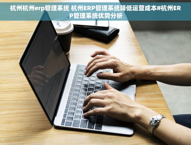 杭州杭州erp管理系统 杭州ERP管理系统降低运营成本#杭州ERP管理系统优势分析