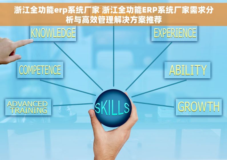 浙江全功能erp系统厂家 浙江全功能ERP系统厂家需求分析与高效管理解决方案推荐