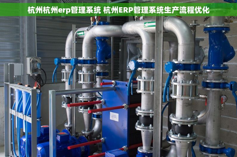 杭州杭州erp管理系统 杭州ERP管理系统生产流程优化