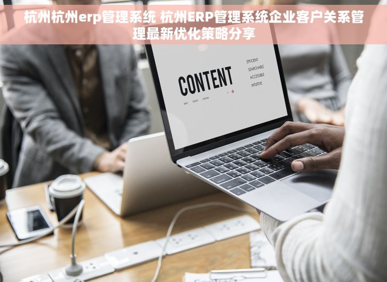 杭州杭州erp管理系统 杭州ERP管理系统企业客户关系管理最新优化策略分享